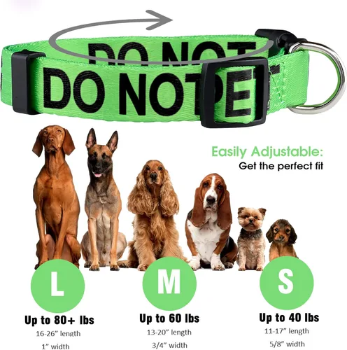 Vista 4 de Native Pup Collar de perro Do Not Pet (mediano)