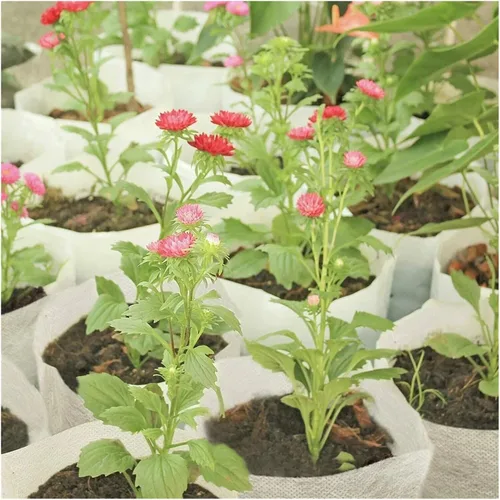 Vista 7 de 100 bolsas biodegradables para vivero, bolsas de cultivo de plantas, semillas de tela no tejida para sembrar macetas para el hogar, accesorios