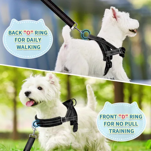 Vista 4 de SlowTon - Juego de arnés y correa para perros pequeños sin tirones, chaleco suave ajustable para cachorros para el cuello y el pecho, arnés