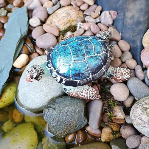 Vista 5 de Figura de tortuga pequeña de estrella morada, decoración de tortugas marinas, estatua de resina, azul Garden Coastal Beach Shelf Lawn Decor