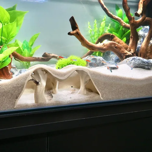Vista 6 de Árbol de manglar natural de cueva subterránea para acuario Ver peces debajo de la piel de túnel de grava Decoración de escondite de pecera
