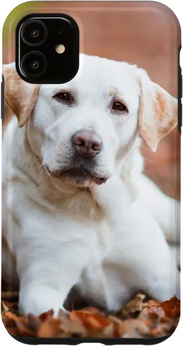 Vista 8 de Labrador Retriever Dog Lover - Carcasa para iPhone 17