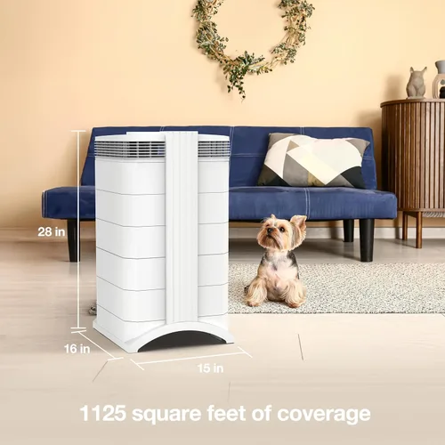 Vista 3 de IQAir HealthPro Plus XE - Purificador de aire con filtración HyperHEPA inteligente para habitaciones grandes de hasta 1125 pies cuadrados - Humo
