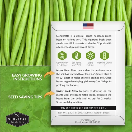 Vista 2 de 1 paquete de semillas de frijol francés Slenderette Bush para plantar con instrucciones para cultivar verts de haricots en tu huerto casero