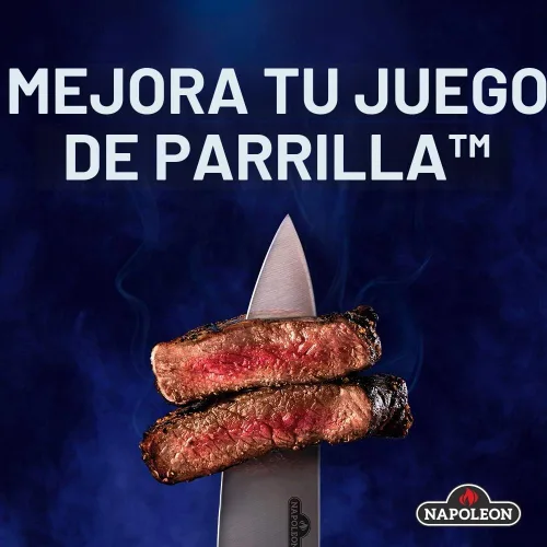 Vista 8 de Plancha reversible de hierro fundido para Rogue® 425 - 56425 – Accesorio Napoleon para parrilla de barbacoa, se adapta a parrillas de barbacoa
