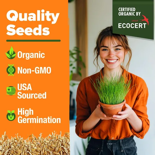Vista 7 de HOME GROWN Mezcla orgánica de semillas de hierba de gato (avena y cebada) – 4 oz – Maceta de interior fácil