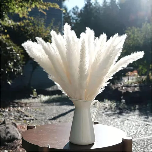 Vista 5 de 30 flores secas de junco, ramo de flores secas de hierba de las pampas, ramo de flores secas de ramas artificiales de pluma, 17 pulgadas, decoración