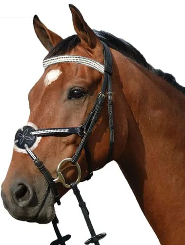 Vista 2 de Wonder Care Brida inglesa de cuero de vaca de grano superior para caballos, brida de caballo con banda, brida de caballo con riendas y bridas