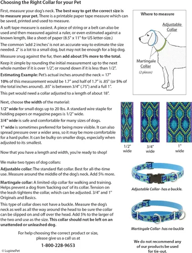 Vista 3 de Lupine Collar de perro de 1 pulgada de ancho El Paso Design ajusta 12-20 pulgadas de largo