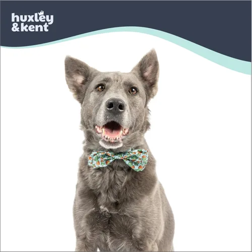 Vista 4 de Huxley & Kent - Corbata para mascotas para perros y gatos - Collar ajustable con gancho y velcro - Lindo y cómodo para fiestas y celebraciones - Soy