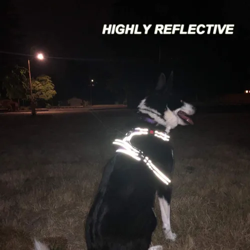 Vista 6 de PoyPet - Arnés de perro sin tirones, arnés reflectante con 2 clips delanteros y traseros y asa de fácil control para perros pequeños, medianos