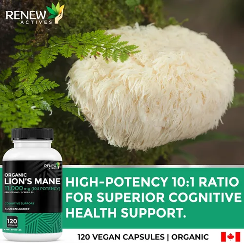 Vista 5 de Renew Actives Hongo orgánico de melena de león de primera calidad, 11000 mg por porción (relación 10:1), apoya la función cerebral, la memoria
