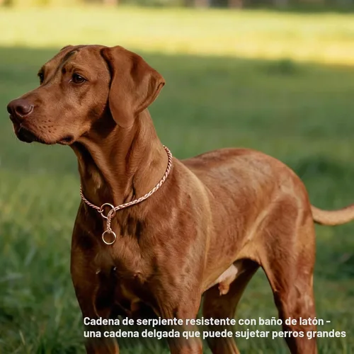 Vista 5 de Collar de Perro de Alta Resistencia, Collar de Perro Deslizante con Eslabones de Serpiente, Antióxido, 39.4cm-74.9cm, Negro/Oro/Plata/Oro Rosa