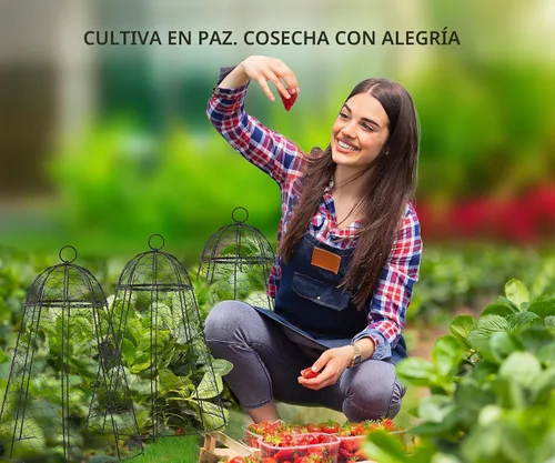 Vista 6 de boldworks Cloches de Jardín para Plantas, Jaulas de Alambre de Pollo para Proteger de Animales al Aire Libre, Extra Grandes, Resistente a