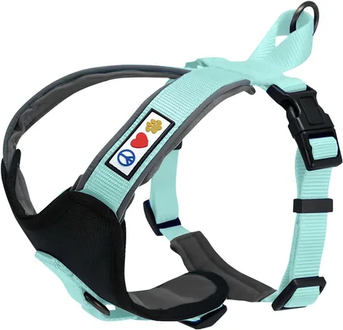 Vista 24 de Arnés para perro Pawtitas para entrenamiento de suave, ajustable, reflectante, acolchado para cachorros, Azul