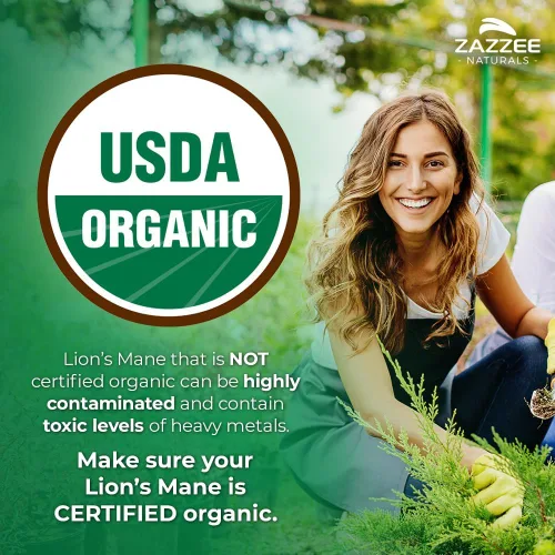 Vista 2 de Zazzee USDA Organic Lion's Mane 20:1 Extracto 20:1, 1000 mg por porción, 30% beta-glucanos, 120 cápsulas veganas, nootrópico para la salud cerebral