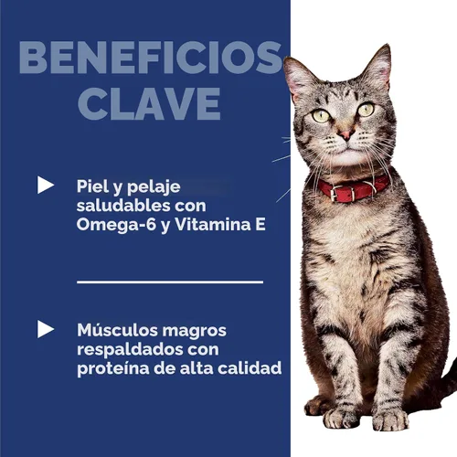 Vista 4 de Hill's Science Diet Alimento seco para gatos adultos 1-6 # 1 recomendado por veterinarios, receta de pollo, 4 libras. Bolsa