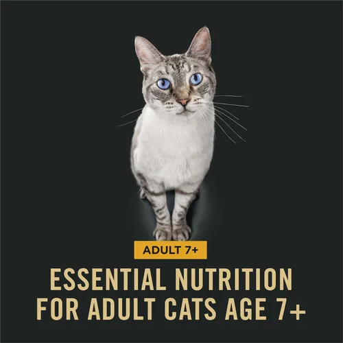 Vista 3 de Purina Pro Plan Senior Comida seca para gatos 7+ Esenciales completos fórmula de pollo y arroz - Bolsa de 3.5 lb