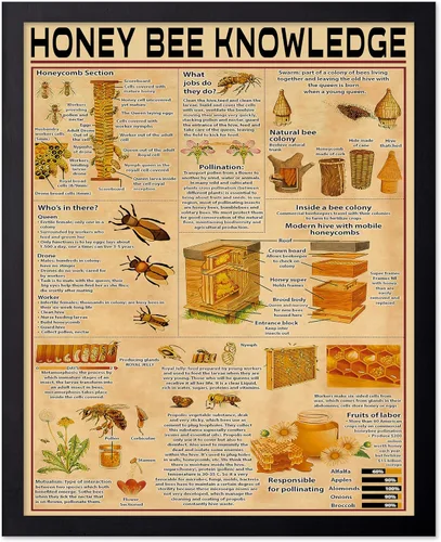 Vista 87 de Poster Master Póster de conocimiento de preparación de café, impresión de preparación de café, ilustración de alimentos y bebidas, impresión