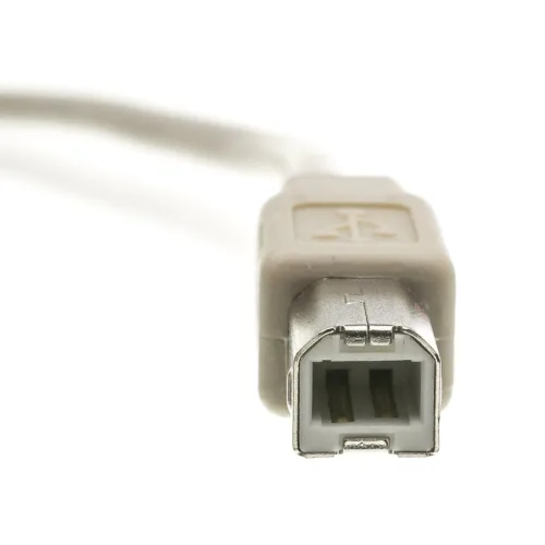 Vista 4 de CableWholesale Cable de impresora USB 2.0 de 1 pie/dispositivo, beige, tipo A macho/enchufe macho tipo B, cable USB de alta velocidad A macho a B