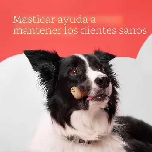 Vista 6 de DreamBone Mini Bone - Golosinas para perros sin piel cruda con proteína real, 50
