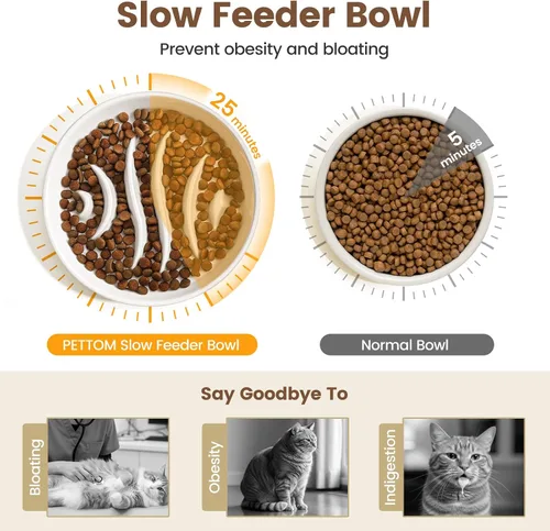 Vista 2 de PETTOM Alimentador lento Cat Bowl de cerámica elevada con soporte de bambú espina de pescado