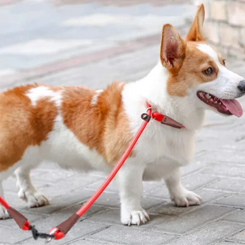 Vista 24 de MayPaw Collar ajustable de cuerda de nailon para entrenamiento de perros, collares de perro Martingala redondos sin tirones para perros pequeños