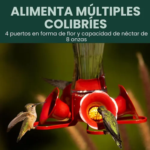 Vista 8 de Perky-Pet 203CPBN Comedero de vidrio para colibríes al aire libre con posaderos, foso de hormigas, protectores de abejas - Paquete de 1