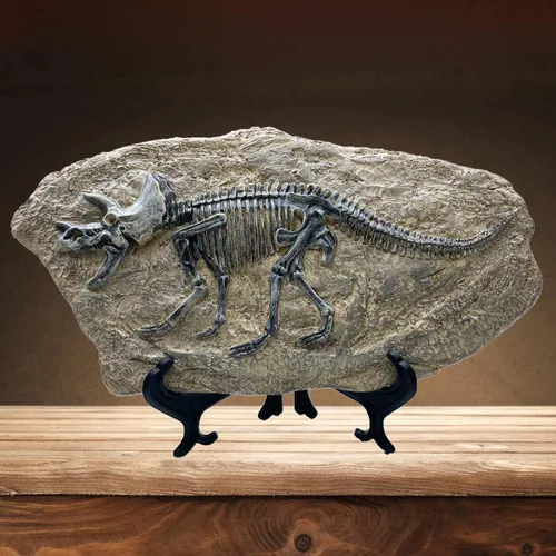 Vista 9 de XINDAM Modelo de estatua de fósil de dinosaurio de resina, esqueleto simulado para exhibición en hogar y oficina, caja decorativa de manualidades