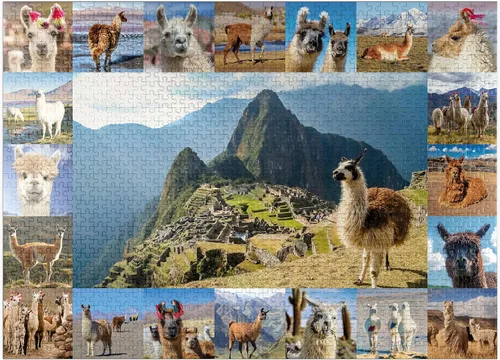 Vista 8 de MyPuzzle Llamas and Alpacas - Collage - Rompecabezas prémium de 100 piezas para adultos