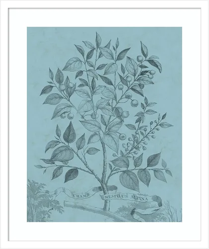Vista 20 de Amanti Art Vision Studio - Póster enmarcado de 24 x 20 pulgadas, diseño botánico en V verde azulado por Vision Studio, arte de pared de naturaleza