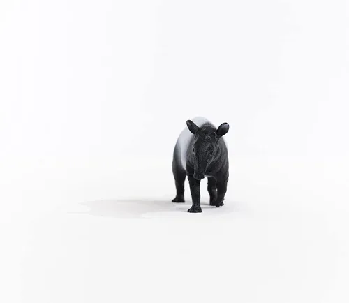 Vista 4 de Schleich Wild Life, juguetes realistas de animales salvajes para niños a partir de 3 años, figura de juguete tapir
