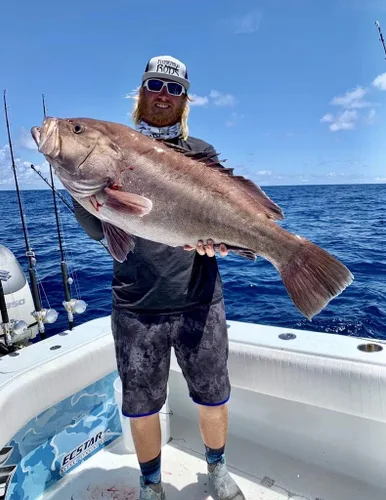 Vista 9 de Fitzgerald Fishing Stunner HD Saltwater 5'8"-6'6" Peso de línea 40-150 libras, 80-200 libras y 20-80 libras, pesado, X-pesado y XX-pesado