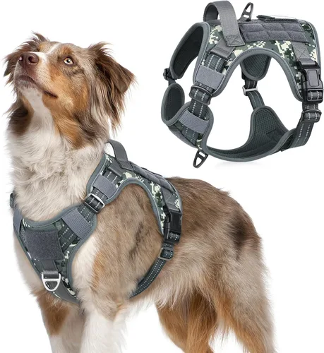 Vista 70 de rabbitgoo Arnés táctico para perros pequeños, chaleco de servicio militar sin tirones con asa y Molle, de fácil control para entrenar y caminar