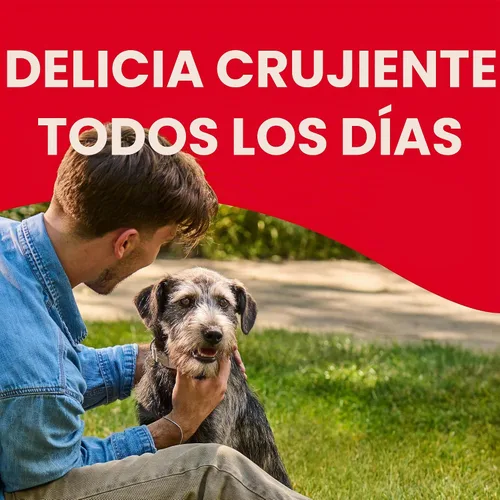 Vista 6 de Milk-Bone Gravy Bones - Golosinas para perros con 4 sabrosos sabores de carne recubiertos en salsa, 7 libras
