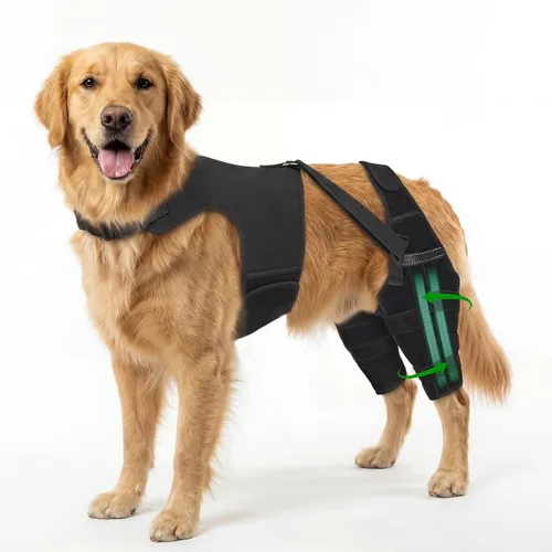 Vista 8 de Rodillera para perro para pierna trasera desgarrada, ajustable para pierna trasera con 7 estabilizadores, reduce el dolor, lesiones de ligamentos