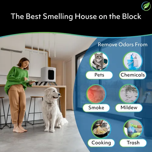 Vista 4 de Purificador de aire Air Oasis iAdaptAir 2.0 con filtro HEPA H13 reduce el 99% de virus, moho, polvo, humo, polen y olores, el más silencioso