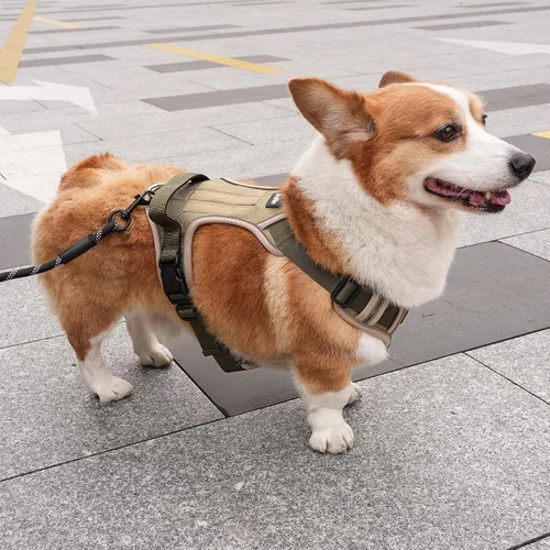 Vista 7 de Arnés para perro pequeño, arnés reflectante resistente táctico sin tirones y collar - seguro, sin estrangulamiento, chaleco para mascotas fácil