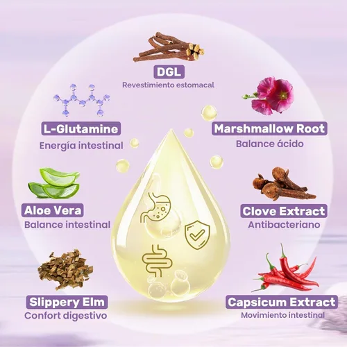 Vista 5 de Extracto de raíz de regaliz liposomal DGL, digestivo, absorción máxima, 60