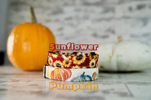 Vista 2 de Fall Style Dog Collars w/metal buckle, HAND MADE, Custom Engraved Personalized Collar, 1 inch wide, designer collars, Floral or Pumpkin