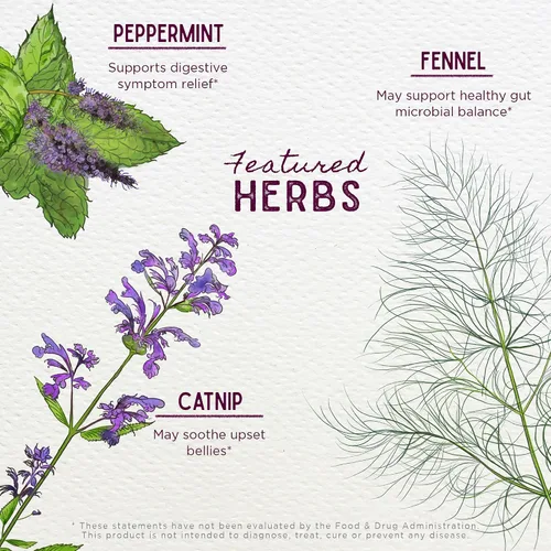 Vista 4 de WishGarden Herbs Colic Ease for Infants – Alivio natural de cólicos herbarios para recién nacidos, gotas de alivio de gases para bebés que alivian