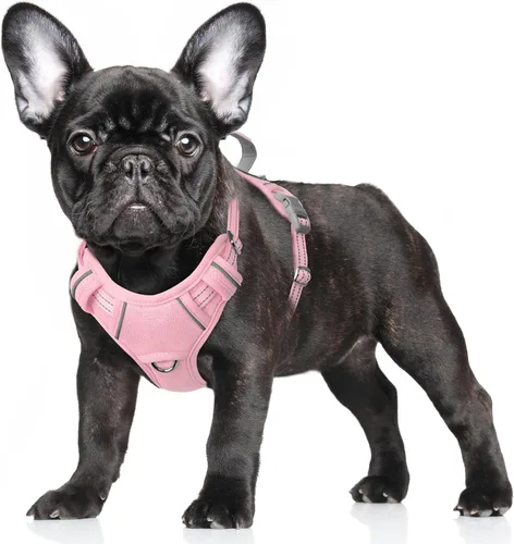 Vista 76 de BARKBAY Arnés para Perro Sin Tirones Talla Grande Arnés Reflectante para Perro con Clip Frontal y Asa de Control Fácil para Caminar Entrenar Correr