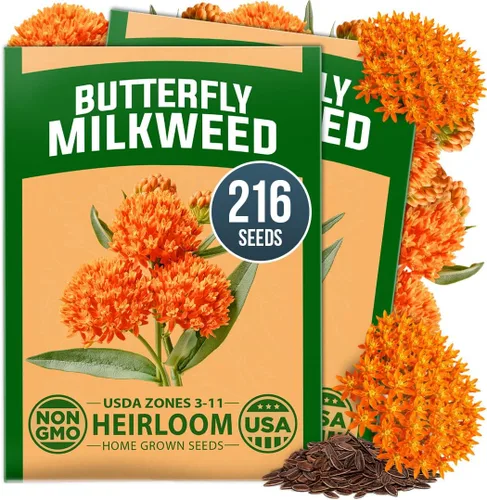 Vista 41 de HOME GROWN Semillas de Hollyhock de doble mezcla de Chater, 200 semillas