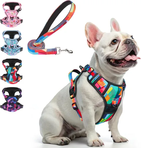 Vista 13 de BEAUTYZOO Arnés para perro sin tirones pequeño, juego de arnés y correa ajustable para perro - Fácil de usar con 3 hebillas/mango de control, arnés