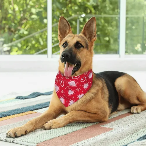Vista 6 de Pañuelo rojo para perro con flecha de amor para el día de San Valentín, bufanda triangular, baberos, accesorios para mascotas, pañuelo para gatos