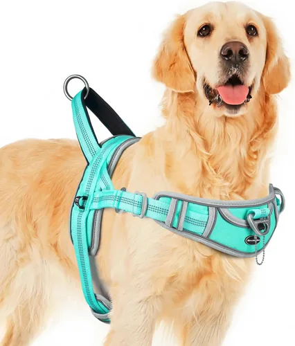 Vista 8 de ADVENTUREMORE Arnés para perro mediano - sin tirones, chaleco reflectante ajustable con asa de clip frontal para entrenamiento y caminata - Negro