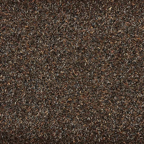 Vista 4 de Kaytee Nyjer - Semilla de comida para pájaros silvestres, 3 libras