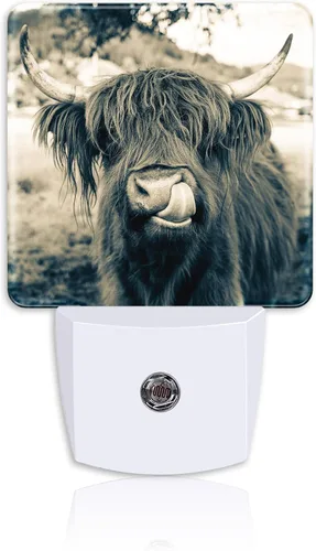 Vista 9 de Luz nocturna con enchufe, lámpara de luz nocturna de piel de leopardo, sensor automático, eficiencia energética, luces del atardecer al amanecer