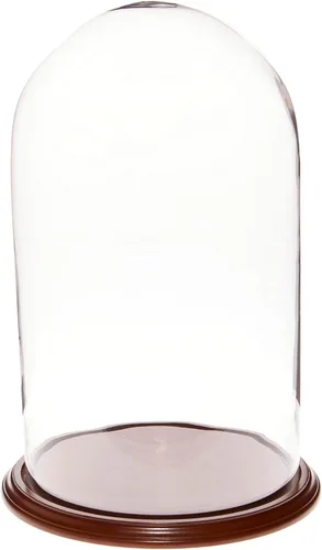 Vista 3 de Plymor 11.75" x 20" Pantalla de cristal Dome Cloche (base de nogal)