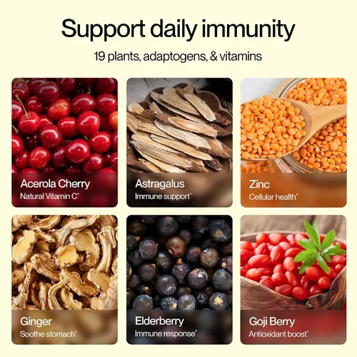 Vista 6 de Feel Goods Immunity+, apoyo inmunológico, hierbas orgánicas, 500 mg de vitamina C, paquetes de polvo cero azúcar, antioxidantes, zinc